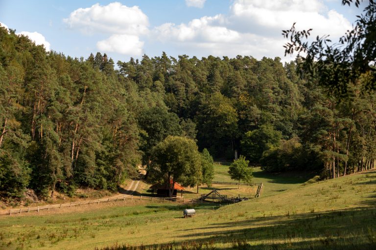 Blick auf das Tretbecken bei Landau